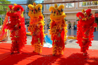 Kịch Bản Múa Lân Chuyên Nghiệp – Bí Quyết Tạo Dấu Ấn Khác Biệt Cho Sự Kiện